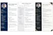create a professional ats friendly CV resume