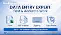 do accurate data entry, excel typing