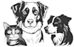 draw awesome pet line art in 24 hours