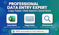 data entry ,copy paste, web search and excel work