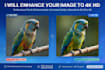 enhance your photo quality and upscale image resolution to 4k