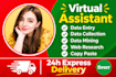 do professional data entry