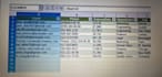 do professional excel data entry