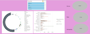 professional dashboard create in excel