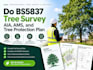 do bs5837 tree survey, aia, ams, and tree protection plan