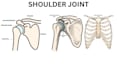 design physiotherapy exercise videos and images