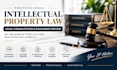 provide intellectual property document review and consultation