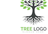 provide modern different tree logo design