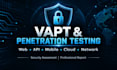 provide professional penetration testing