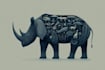 draw animals cartoon illustration