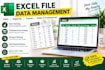 excel file data management