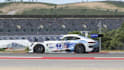 do livery services on sim racing games