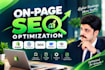 onpage seo optimization for shopify, wordpress, wix, and custom