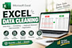 do professional data entry in excel and google sheets