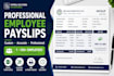 create professional employee payslips and salary slips