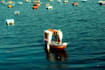 edit and shoot creative photos