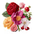 illustrate best botanical illustration