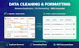 clean, format and remove duplicate data in excel and sheet