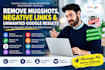 remove mugshots, negative links and unwanted google results