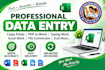 professional data entry and excel expert