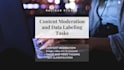do content moderation and data labeling per task