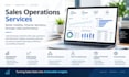provide sales operations, analytics, reporting and business insights