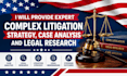 provide expert complex litigation strategy case analysis and legal research
