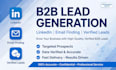 do accurate data entry, b2b lead generation and web research