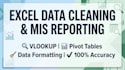 do expert excel data cleaning, formatting, and mis reporting