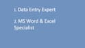 be your expert for ms word formatting and excel data entry