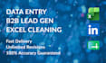 do data entry, excel data cleaning, and b2b lead generation