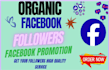 professionally grow your facebook page followers