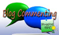 do 30 blog comments on your blog, high quality