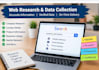 do accurate data entry, excel, copy paste and web research