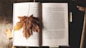 beta read, and recommend your book with honest review