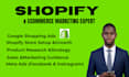 build shopify store, design or redesign shopify website, copy dropshipping store