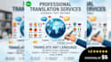 professionally english to chinese