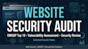 provide website security audit
