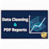 clean your messy data and build executive PDF reports