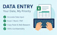 provide fast and accurate data entry services