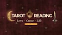 provide an insightful tarot reading