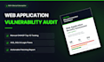 conduct a manual web application vulnerability assessment
