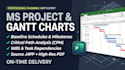 create a professional microsoft project and office schedule