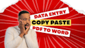 professional excel data entry copy paste and PDF conversion