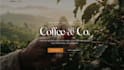 design a modern website