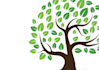 a professional modern tree logo