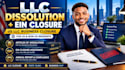 dissolve your US llc, file llc dissolution and close ein