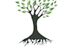 design a custom tree logo