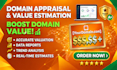 do domain appraisal and accurate domain value estimation, full report