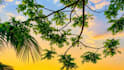 do scenic nature photography